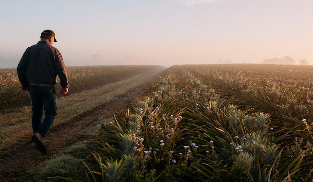 Farm to Fork