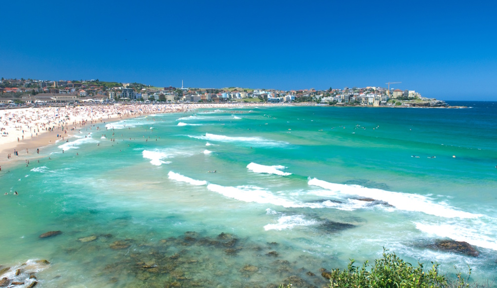 The Beach at Bondi